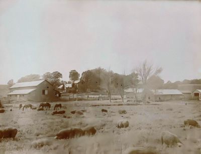 Henry Scheidemantel Farm

DIGITAL COPIES ONLY.

This Photo was Shared by Jacque Callis.

This is the Farm of Henry Scheidemantel.

Per Susan Sonju Research: Henry's farm and the creamery (actually 

called Silver Springs Creamery) appear to have been taken for the 

1905 Atlas of Winneshiek County. 
