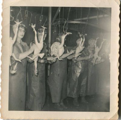 Click to view full size image
==============
Cambridge Chicken Processing Plant
This Photo was shared by Candace Elemina.
Lizzy Lindell (2nd from left) picking chicken at the chicken processing plant in Cambridge, Minnesota. 1949.
Cambridge Chicken Processing Plant
This Photo was shared by Candace Elemina.
Lizzy Lindell (2nd from left) picking chicken at the chicken processing plant in Cambridge, Minnesota. 1949.