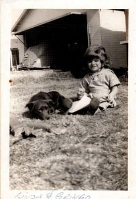 Click to view full size image
==============
Linda & Gringo
THIS HAS BEEN RETURNED TO FAMILY
This was Donated by by Cheryl Webber/The Terry Girls Genealogy.
This Photo states: "Linda & Gringo"
Linda & Gringo
THIS HAS BEEN RETURNED TO FAMILY
This was Donated by by Cheryl Webber/The Terry Girls Genealogy.
This Photo states: "Linda & Gringo"