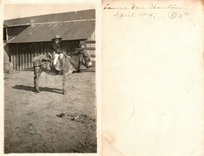 Click to view full size image
==============
Laura Effa Van Houten
This was Donated by Carolyn F. Hall
This photo states: "Laura Van Houten, April 1915"
Laura Effa Van Houten
This was Donated by Carolyn F. Hall
This photo states: "Laura Van Houten, April 1915"