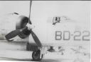 Sandy_Breshears_002.jpg