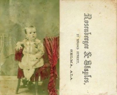 Click to view full size image
==============
Unidentified
Unidentified CdV Photograph Shared by Joni Bohacheff.
The Photographers name is "Rosenberger & Staples", Selma, Alabama.
Unidentified
Unidentified CdV Photograph Shared by Joni Bohacheff.
The Photographers name is "Rosenberger & Staples", Selma, Alabama.