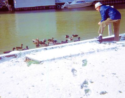 Click to view full size image
==============
Gilbert Francis Noel
This 35MM Slide States: "Fall Trip, 1972."
This has been ID'D as Gilbert Francis Noel
Gilbert Francis Noel
This 35MM Slide States: "Fall Trip, 1972."
This has been ID'D as Gilbert Francis Noel