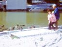 Filename=75.jpg
Filesize=436KiB
Dimensions=2048x1557
Date added=Aug 14, 2023 75.jpg
